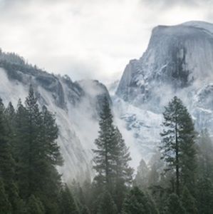 Meet your Posher, Charlie